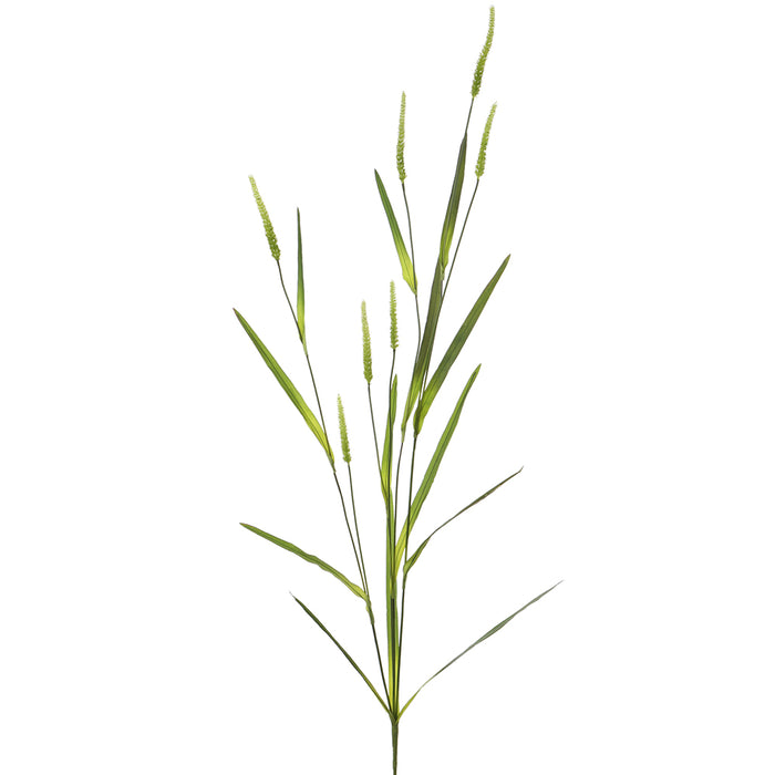 42" Artificial Foxtail Grass Flower Stem -Green (pack of 12) - FSG211-GR