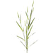 42" Artificial Foxtail Grass Flower Stem -Green (pack of 12) - FSG211-GR