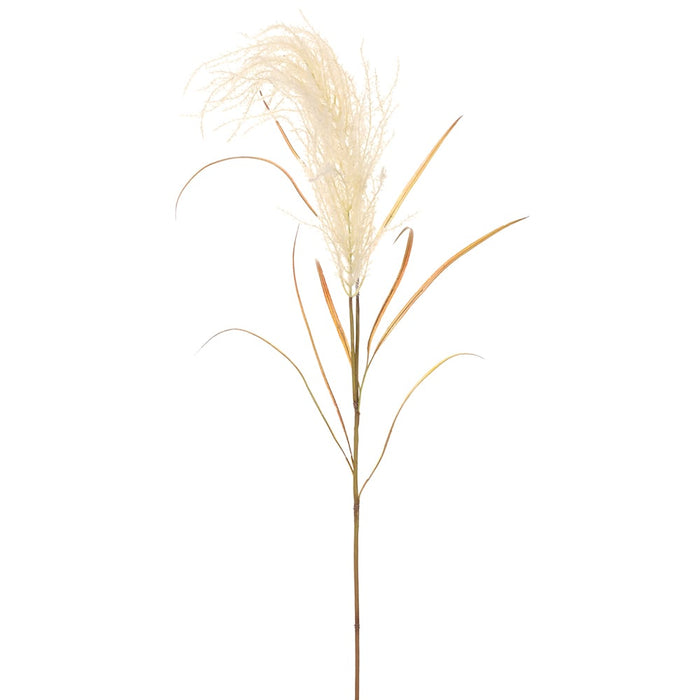 56" Blooming Artificial Pampas Grass Stem -White (pack of 12) - FSG221-WH