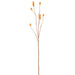 29" Artificial Bristle Grass Stem -Amber (Pack of 12) - FSG256-AM