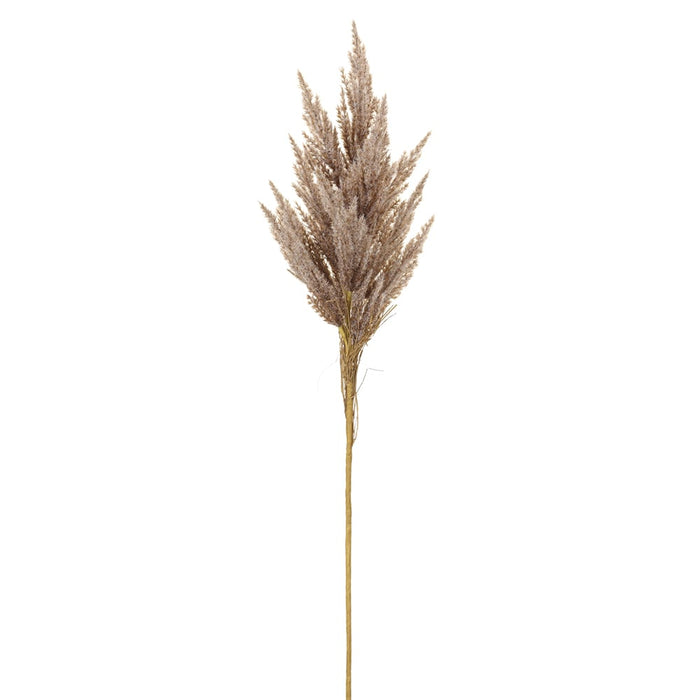 31.5" Artificial Pampas Grass Stem -Brown/Beige (Pack of 12) - FSG312-BR/BE
