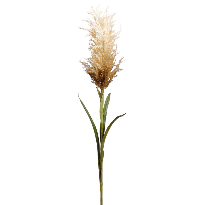 34" Artificial Blooming Pampas Grass Stem -Beige (pack of 8) - FSG472-BE