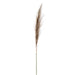 46" Artificial Pampas Grass Stem -Beige (pack of 12) - FSG557-BE