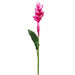30.5" Silk Mini Ginger Flower Spray -Pink (Pack of 12) - FSG601-PK