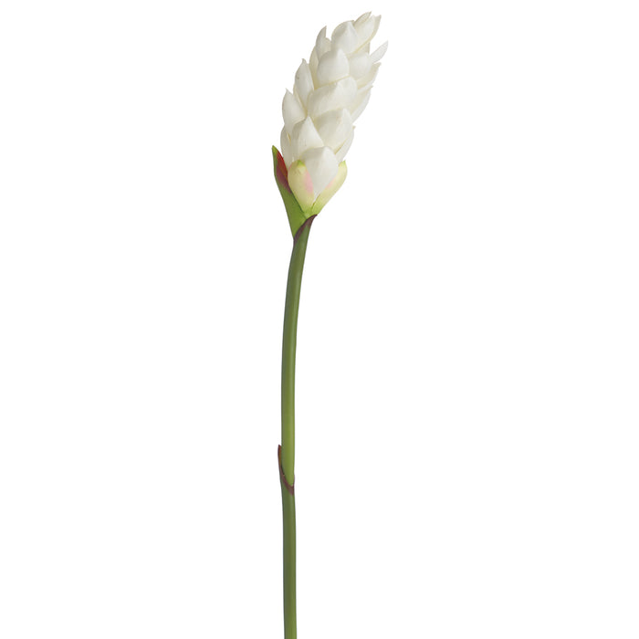 30" Artificial Ginger Flower Stem -White (pack of 12) - FSG682-WH