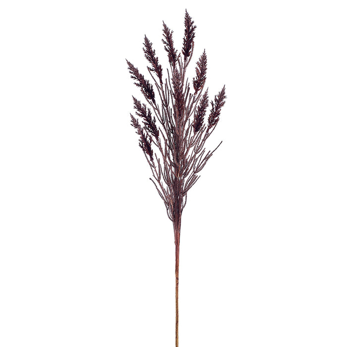 39" Artificial Plume Grass Stem -Dark Brown (Pack of 12) - FSG903-BR/DK
