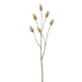 28" Artificial Hare's Tail Flower Stem -Beige (Pack of 12) - FSH001-BE