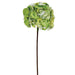 25" Silk French Hydrangea Flower Spray -2 Tone Green (pack of 12) - FSH006-GR/TT