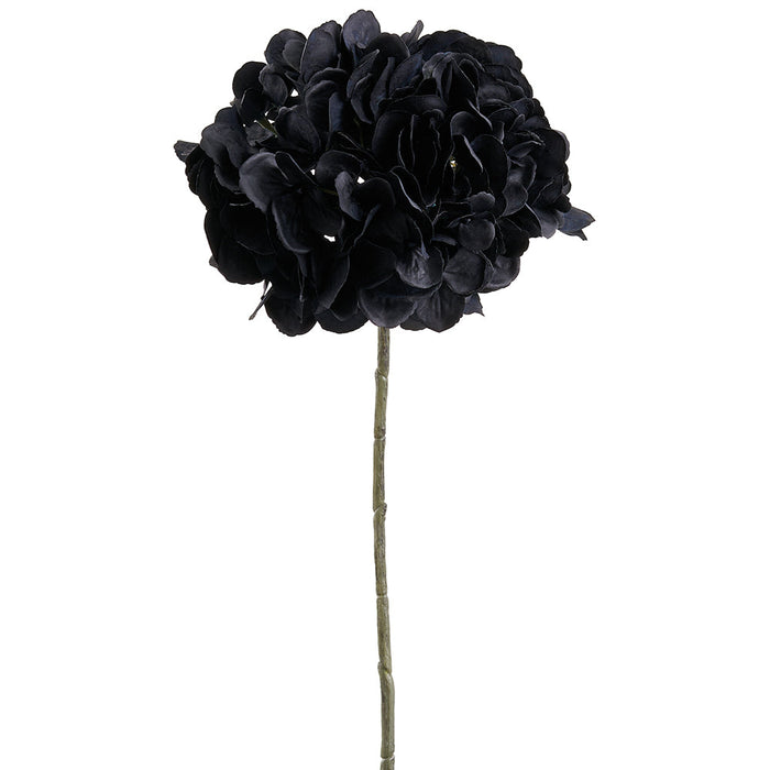 18.5" Real Touch Hydrangea Silk Flower Stem -Black (Pack of 12) - FSH014-BK