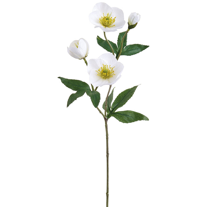19" Helleborus Silk Flower Stem -Cream (Pack of 12) - FSH016-CR