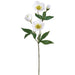 19" Helleborus Silk Flower Stem -Cream (Pack of 12) - FSH016-CR