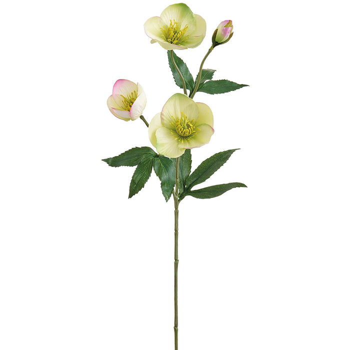 19" Helleborus Silk Flower Stem -Green (Pack of 12) - FSH016-GR