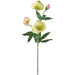 19" Helleborus Silk Flower Stem -Green (Pack of 12) - FSH016-GR