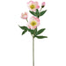 19" Helleborus Silk Flower Stem -Pink (Pack of 12) - FSH016-PK