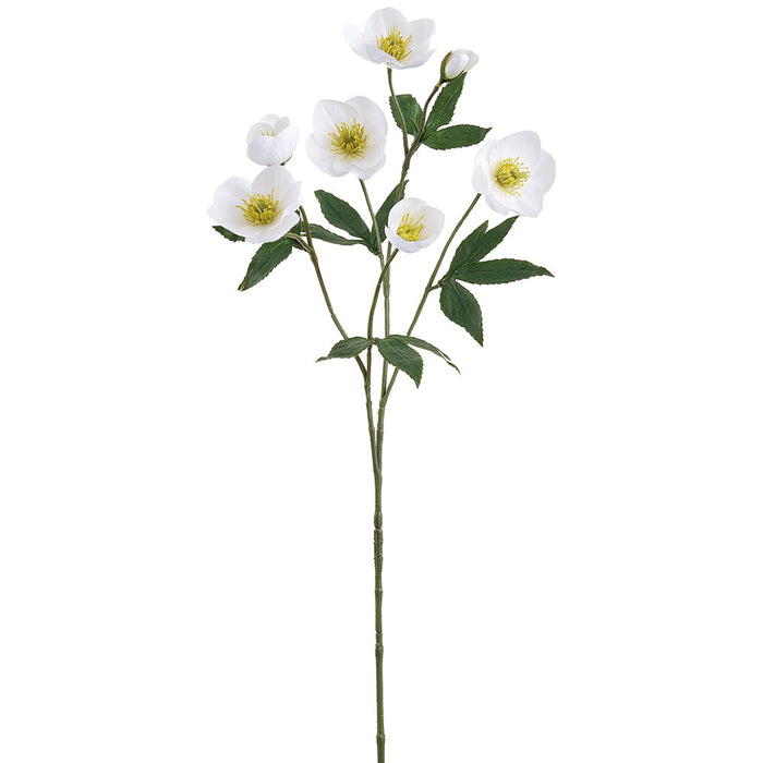 28" Silk Helleborus Flower Stem -Cream (Pack of 12) - FSH019-CR