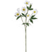 28" Silk Helleborus Flower Stem -Cream (Pack of 12) - FSH019-CR