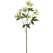 28" Silk Helleborus Flower Stem -Green (Pack of 12) - FSH019-GR