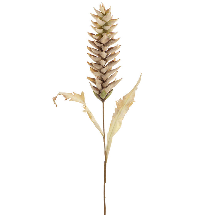 40" Dried-Look Artificial Heliconia Flower Stem -Beige (Pack of 12) - FSH035-BE