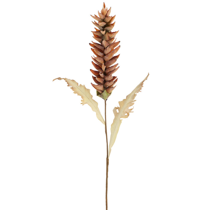 40" Dried-Look Artificial Heliconia Flower Stem -Rust (Pack of 12) - FSH035-RU