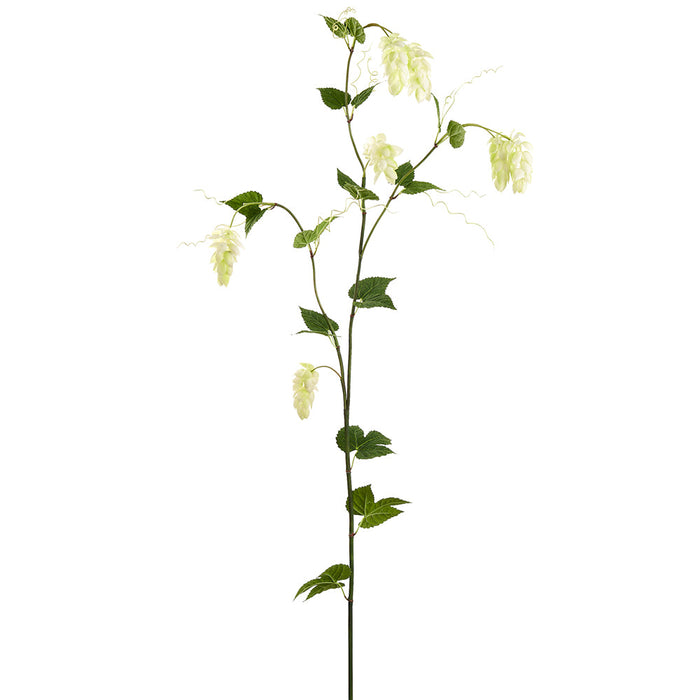 68.8" Real Touch Hops Silk Flower Stem -Cream/Green (Pack of 6) - FSH090-CR/GR