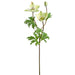 23" Silk Helleborus Flower Stem -Green (pack of 12) - FSH187-GR