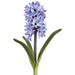 13" Hyacinth Silk Flower Stem -Lavender (Pack of 12) - FSH209-LV