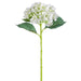 25.5" Silk Hydrangea Flower Stem -Cream (pack of 12) - FSH215-CR