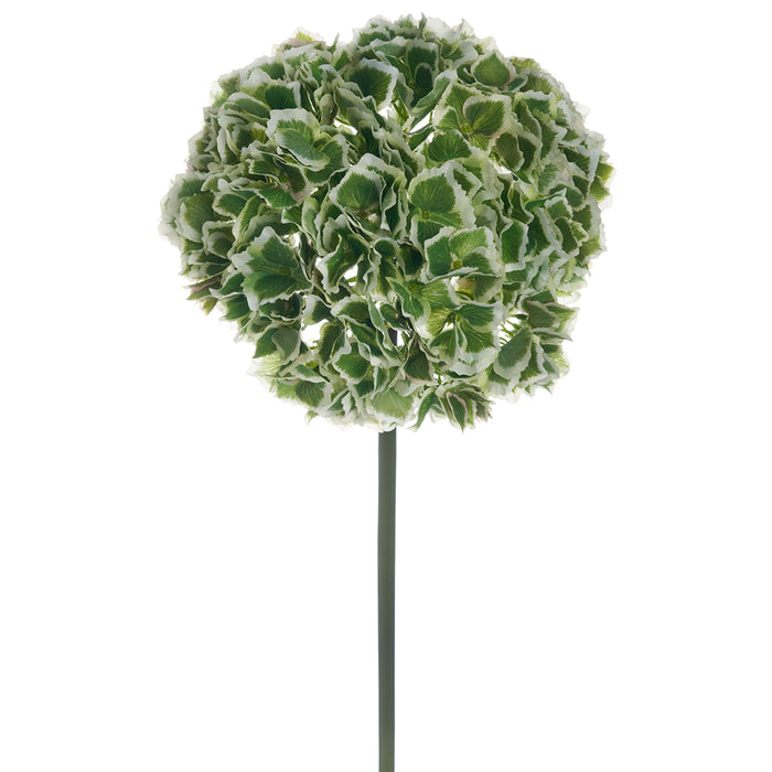 22" Silk Hydrangea Flower Stem -Green/White (pack of 6) - FSH260-GR/WH