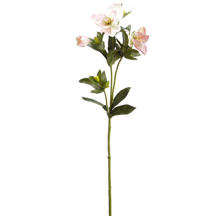 25" Silk Helleborus Flower Stem -Pink/Green (pack of 12) - FSH305-PK/GR