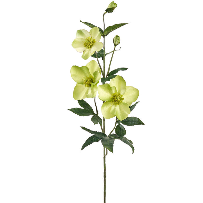 28" Helleborus Silk Flower Stem -Green (Pack of 12) - FSH306-GR