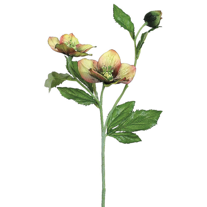 22" Silk Helleborus Flower Spray -Sage/Burgundy (pack of 12) - FSH321-SG/BU