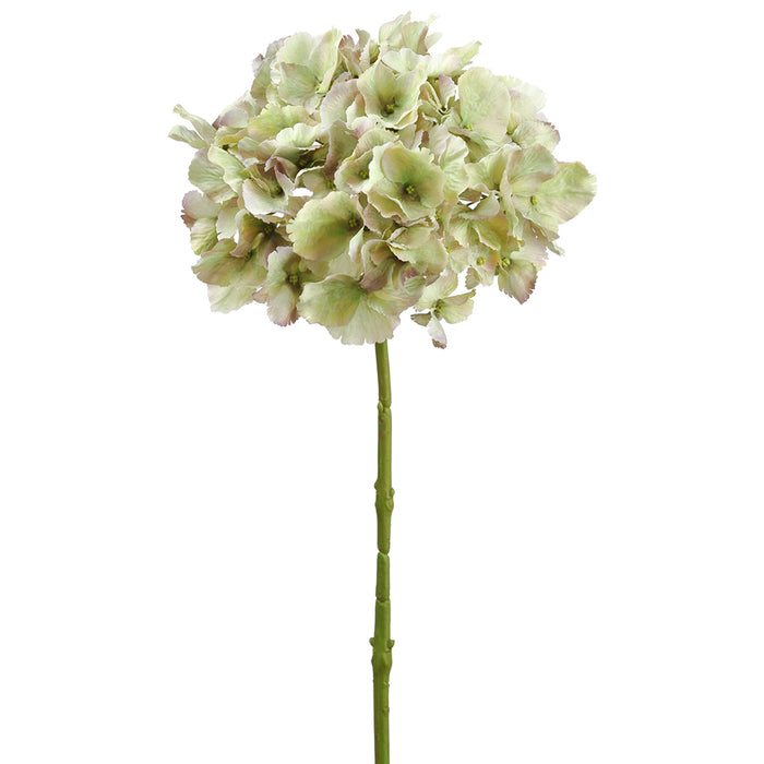 20.5" Silk Hydrangea Flower Stem -Green (pack of 8) - FSH391-GR