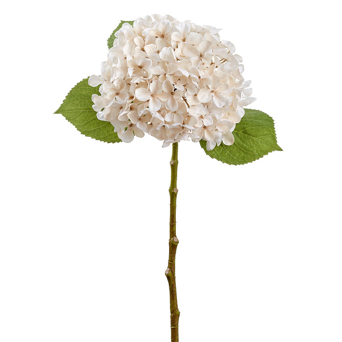 24" Hydrangea Silk Flower Stem -Cream/Ivory (Pack of 12) - FSH428-CR/IV