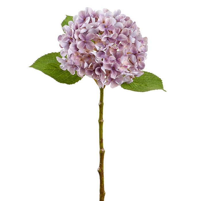 24" Hydrangea Silk Flower Stem -2 Tone Lavender (Pack of 12) - FSH428-LV/TT