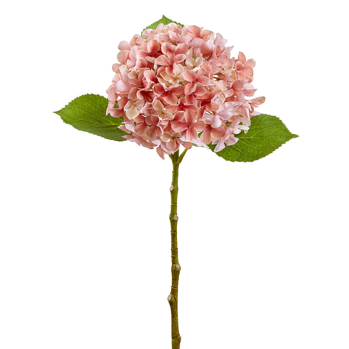24" Hydrangea Silk Flower Stem -Mauve/Cream (Pack of 12) - FSH428-MV/CR