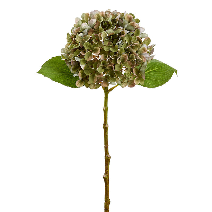 24" Hydrangea Silk Flower Stem -Olive Green (Pack of 12) - FSH428-OG