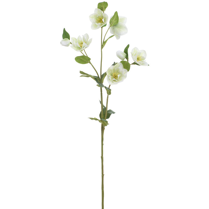 31" Helleborus Silk Flower Stem -Cream/Green (Pack of 12) - FSH504-CR/GR
