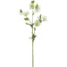 31" Helleborus Silk Flower Stem -Cream/Green (Pack of 12) - FSH504-CR/GR