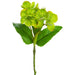 12.5" Silk Helleborus Flower Stem -Green (pack of 12) - FSH564-GR