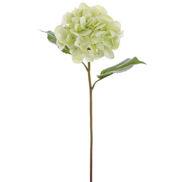 22" Real Touch Hydrangea Silk Flower Stem -2 Tone Green (Pack of 12) - FSH623-GR/TT