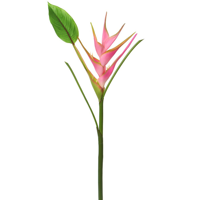 36" Heliconia Silk Flower Stem -Pink (pack of 12) - FSH840-PK