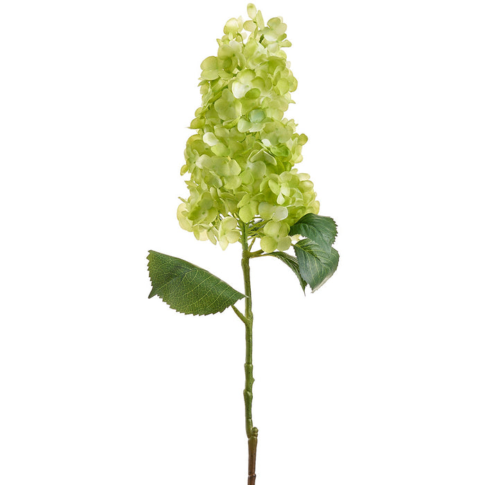 36" Real Touch Cone Hydrangea Silk Flower Stem -Green (Pack of 6) - FSH841-GR
