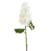36" Real Touch Cone Hydrangea Silk Flower Stem -White (Pack of 6) - FSH841-WH