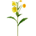 34" Helleborus Silk Flower Stem -Yellow (Pack of 12) - FSH986-YE