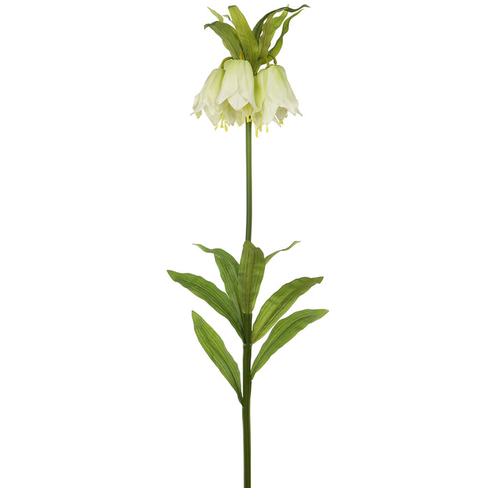 47" Silk Imperial Crown Fritillaria Flower Spray -Cream (pack of 12) - FSI038-CR