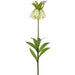 47" Silk Imperial Crown Fritillaria Flower Spray -Cream (pack of 12) - FSI038-CR
