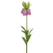 47" Silk Imperial Crown Fritillaria Flower Spray -Lavender (pack of 12) - FSI038-LV