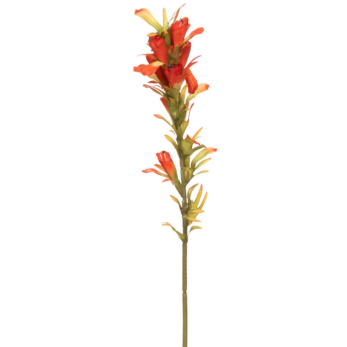 18" Indian Paintbrush Silk Flower Stem -Flame (Pack of 12) - FSI507-FL