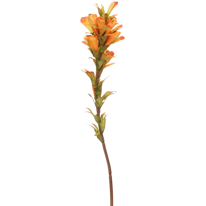 18" Indian Paintbrush Silk Flower Stem -Orange (Pack of 12) - FSI507-OR
