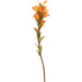 18" Indian Paintbrush Silk Flower Stem -Orange (Pack of 12) - FSI507-OR